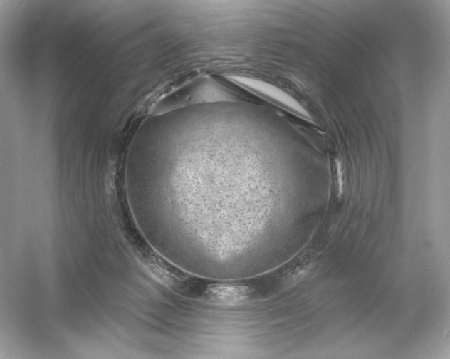 X0000053140221200507251824
