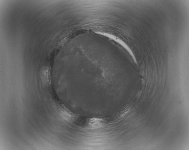 X0000053140222200507251824