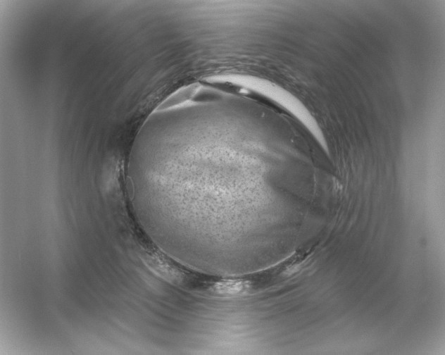 X0000053140225200507251824
