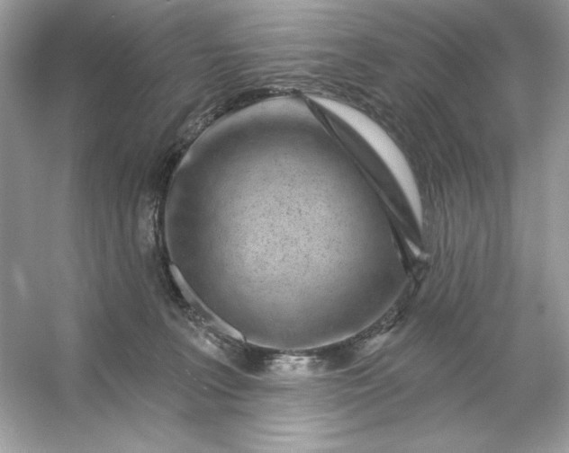 X0000053140227200507251824
