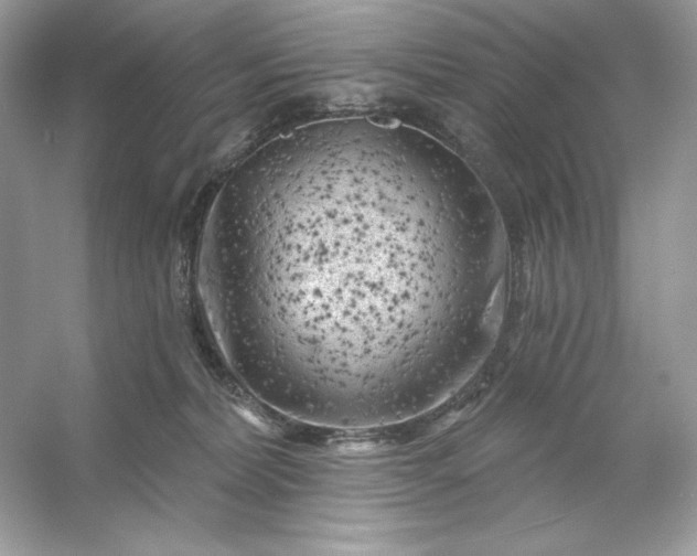 X0000053140228200507251824