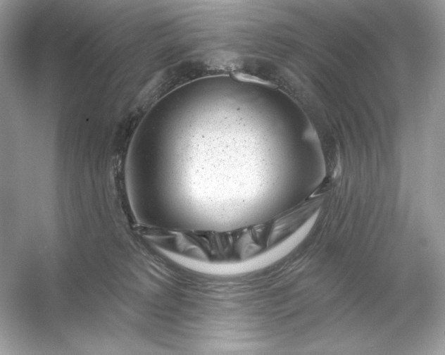 X0000053140229200507251824