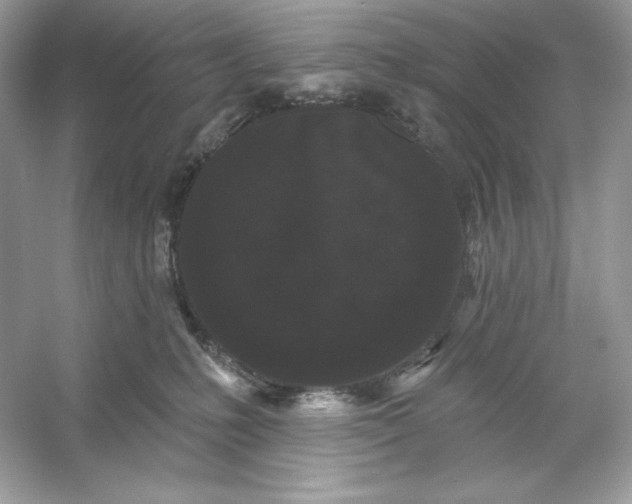 X0000053140231200507251824