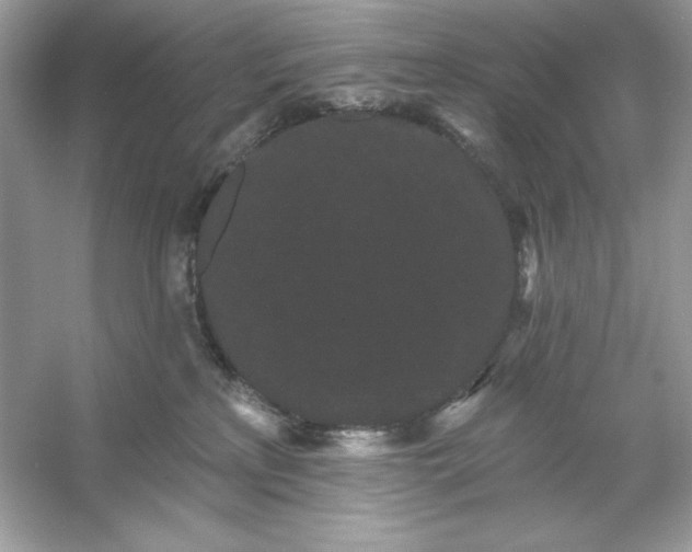 X0000053140233200507251824