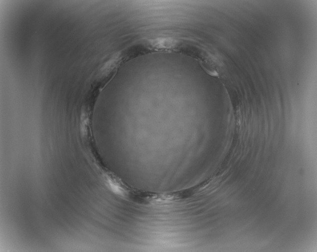 X0000053140235200507251824