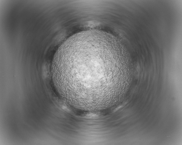 X0000053140236200507251824
