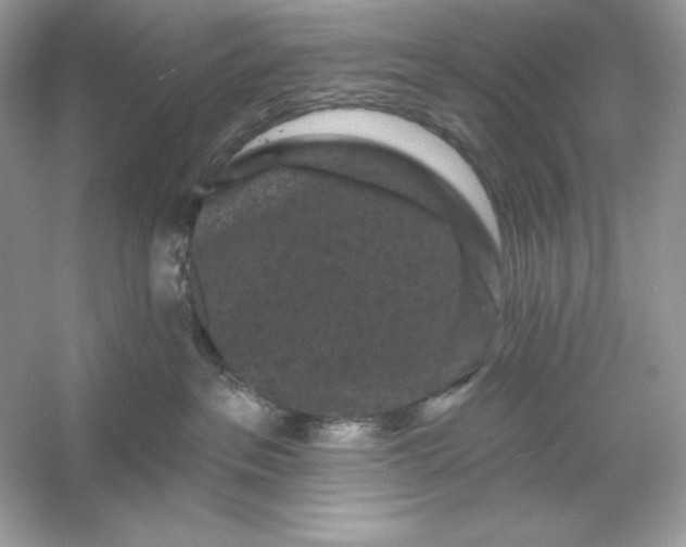 X0000053140237200507251823