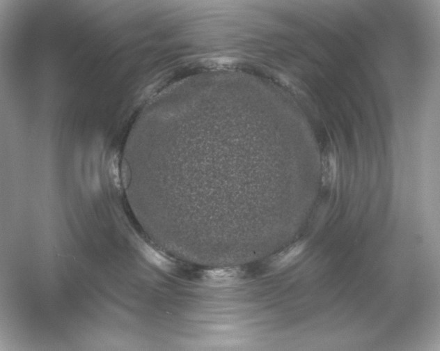 X0000053140238200507251823