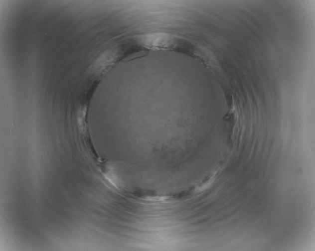 X0000053140239200507251823
