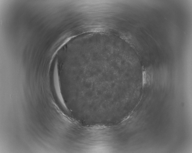 X0000053140243200507251823