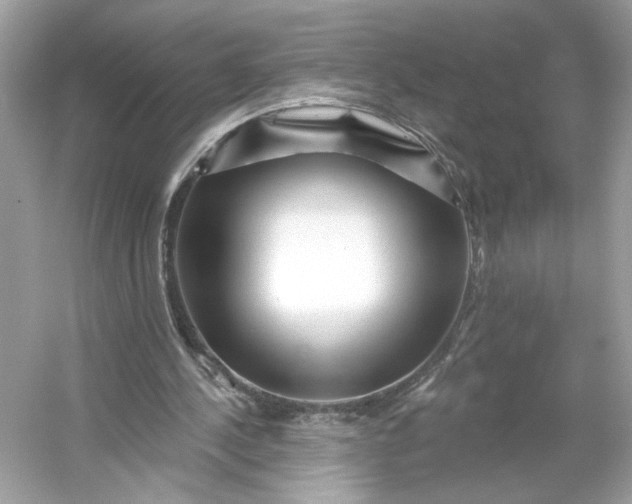 X0000053140244200507251823