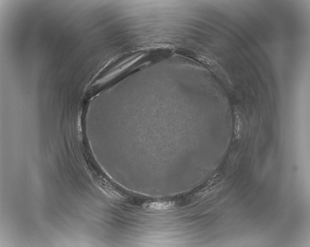 X0000053140251200507251823