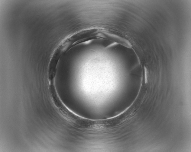 X0000053140252200507251823