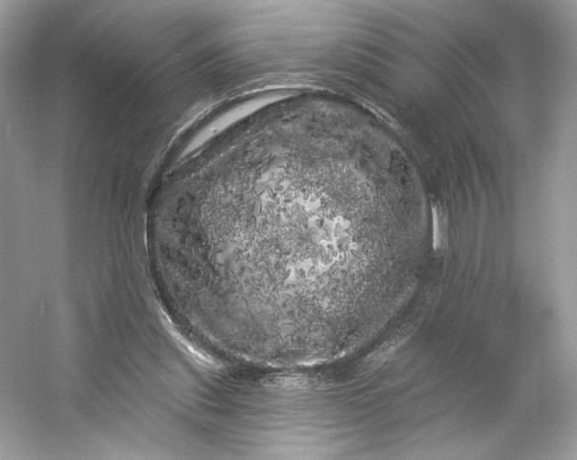 X0000053140253200507251823