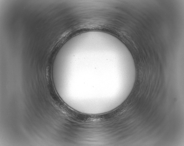 X0000053140260200507251823