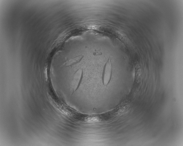 X0000053140262200507251823