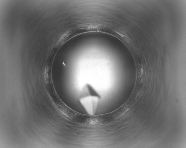 X0000053140264200507251823