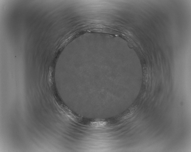 X0000053140266200507251823