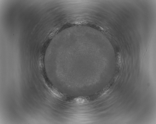 X0000053140272200507251823
