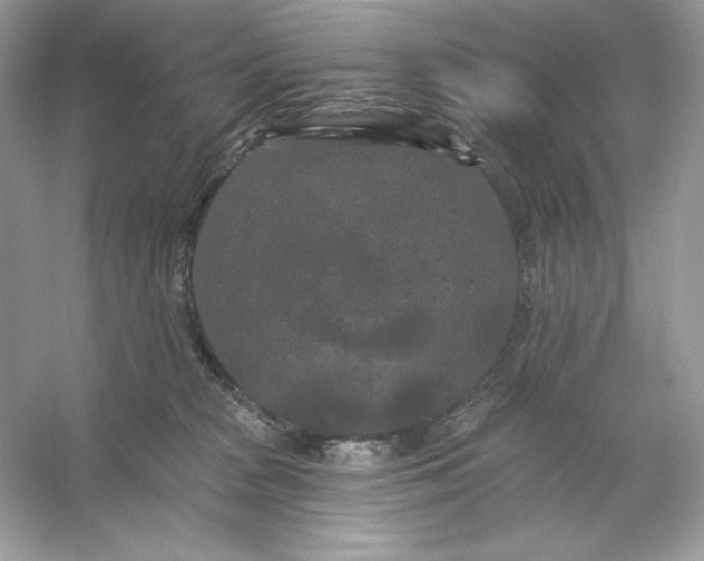 X0000053140277200507251823