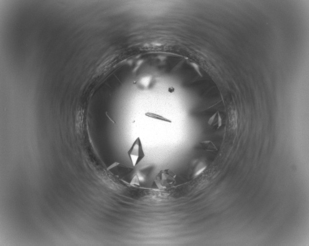 X0000053140278200507251823