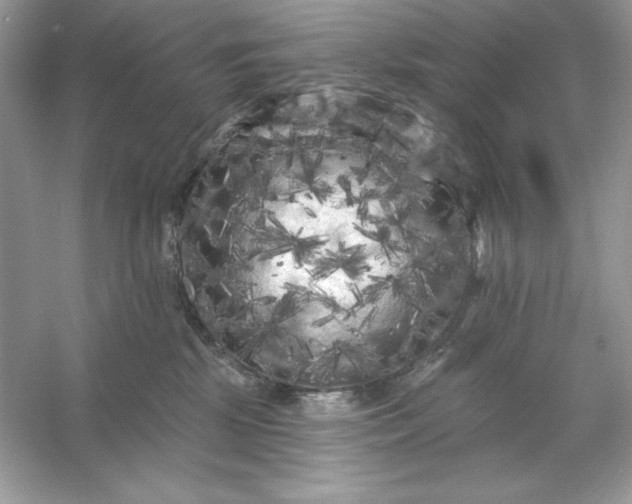 X0000053140281200507251823