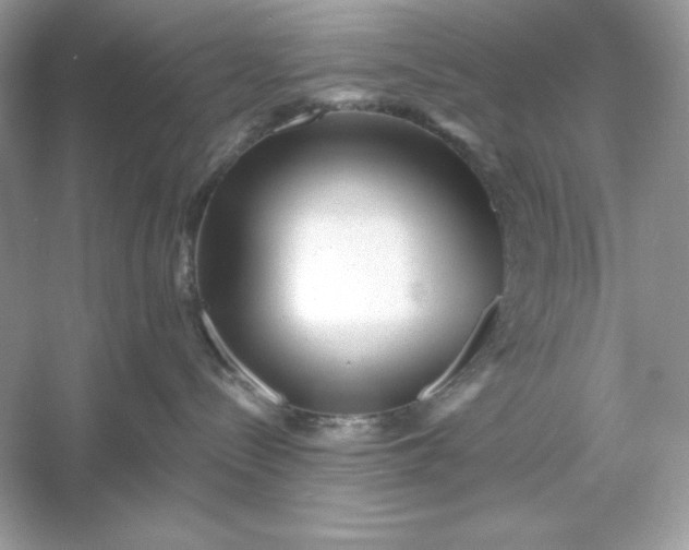 X0000053140288200507251823