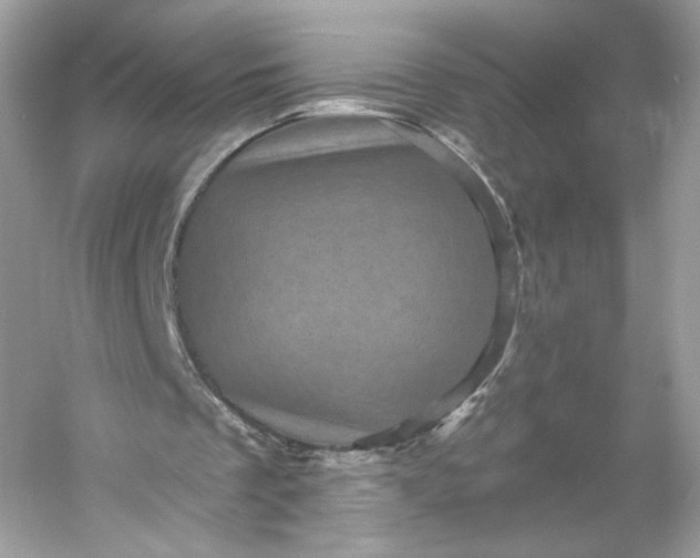 X0000053140289200507251823