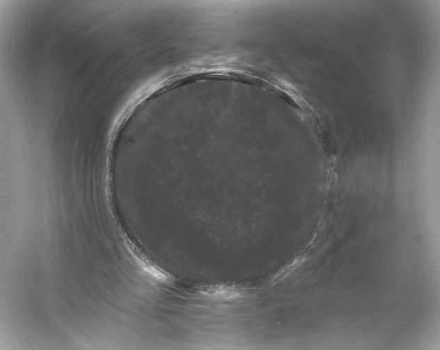 X0000053140293200507251823