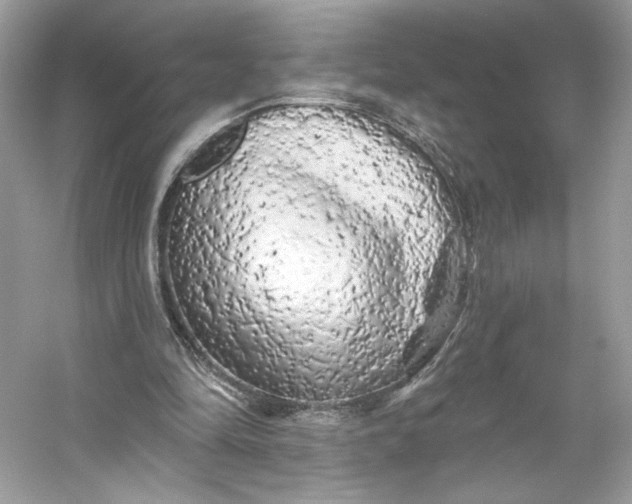 X0000053140294200507251823