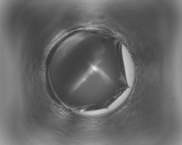 X0000053140295200507251823