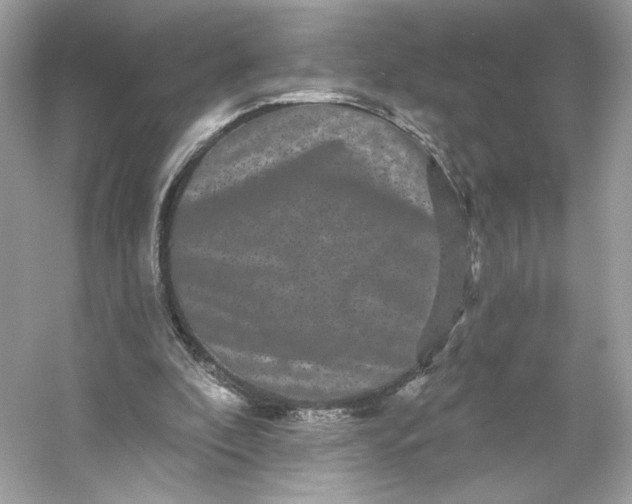 X0000053140296200507251822