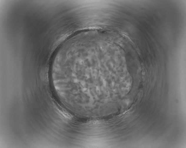 X0000053140299200507251822