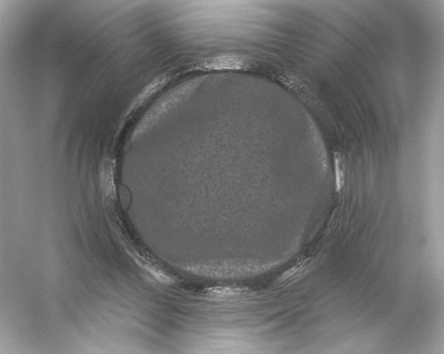 X0000053140300200507251822