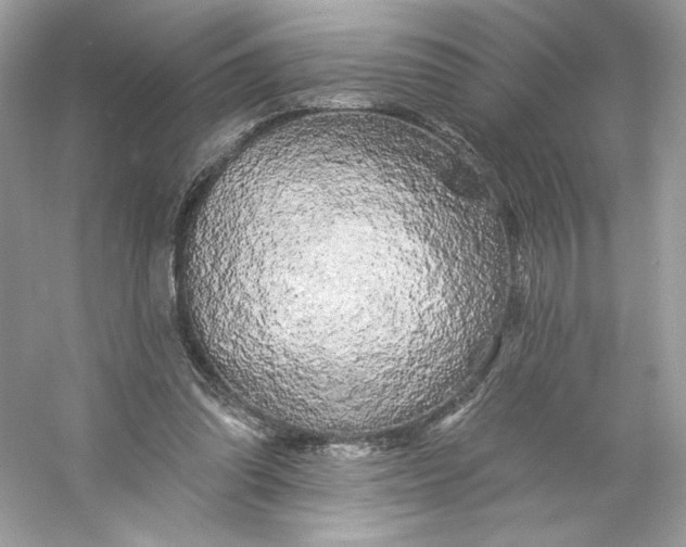 X0000053140302200507251822
