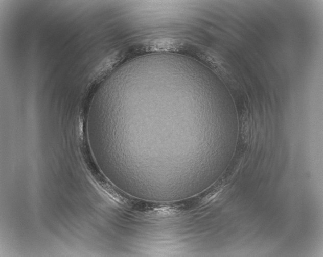 X0000053140310200507251822