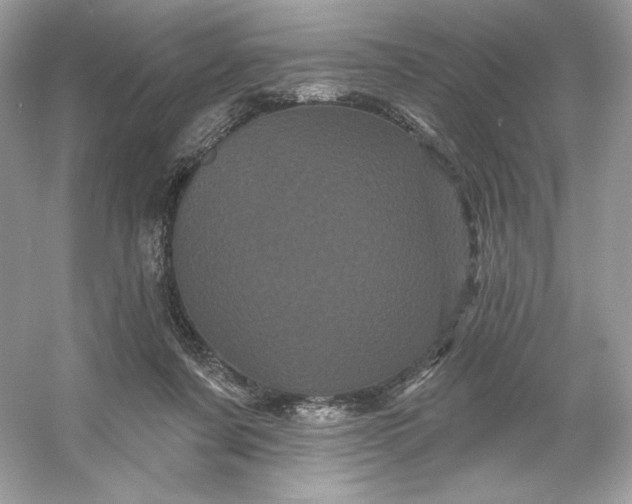 X0000053140311200507251822