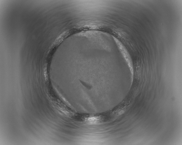 X0000053140312200507251822