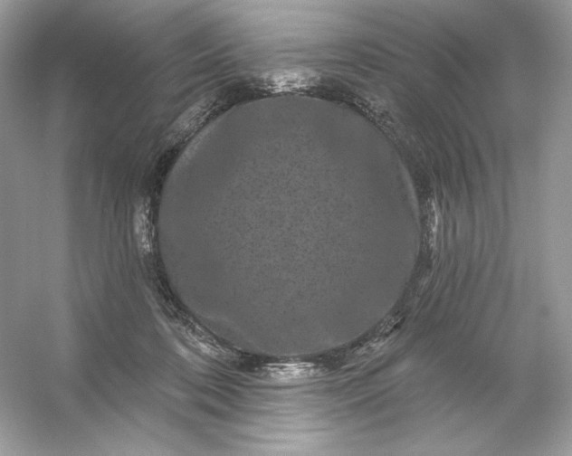 X0000053140316200507251822