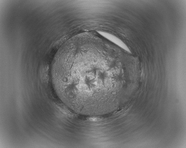 X0000053140319200507251822