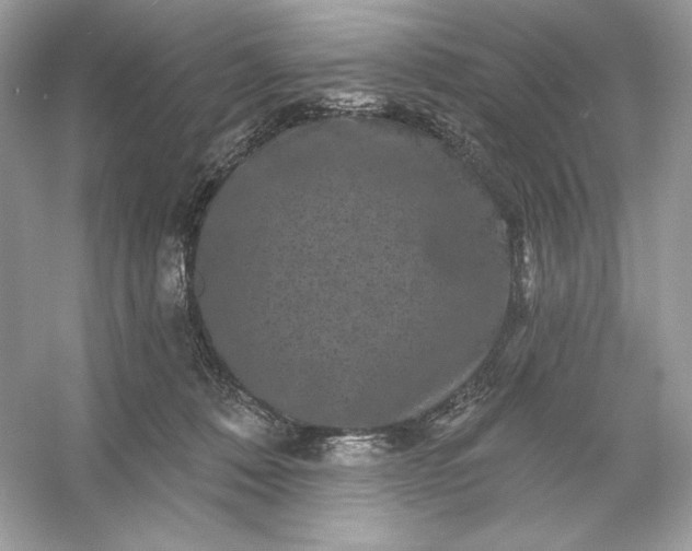 X0000053140320200507251822