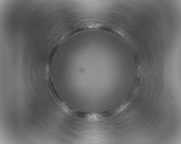 X0000053140321200507251822