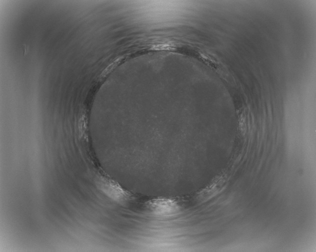 X0000053140322200507251822