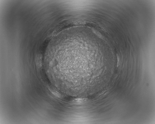 X0000053140323200507251822
