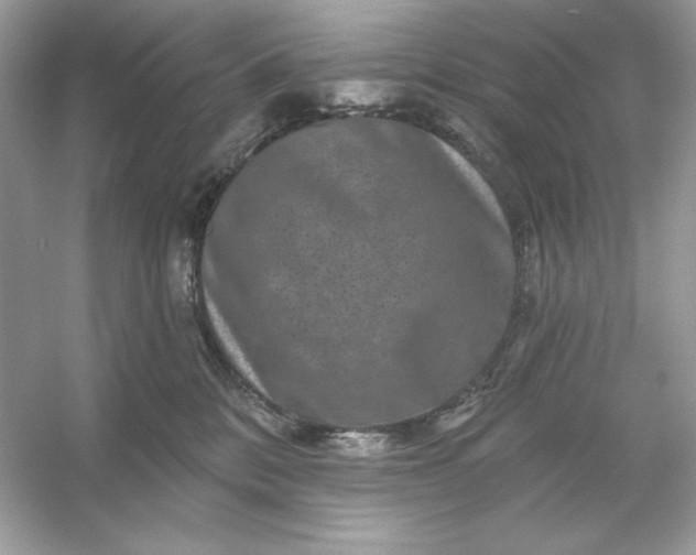 X0000053140328200507251822
