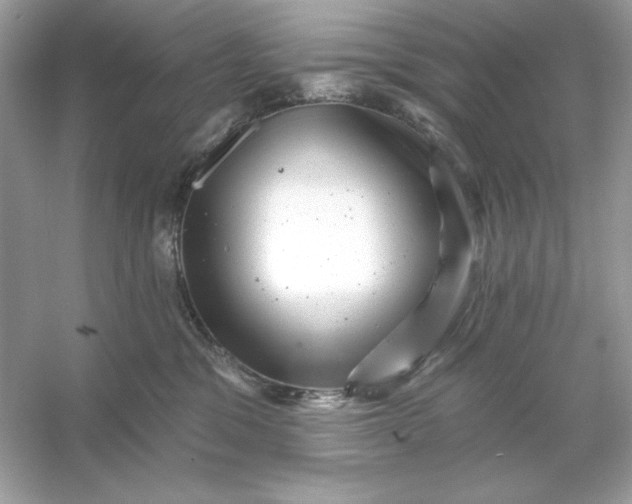 X0000053140329200507251822
