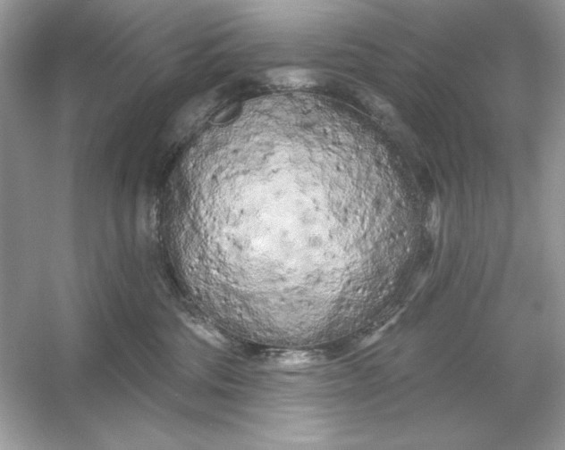 X0000053140330200507251822