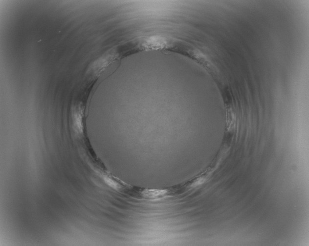 X0000053140334200507251822