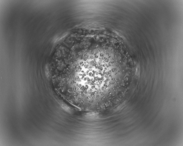 X0000053140335200507251822