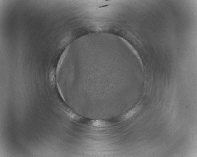 X0000053140336200507251822